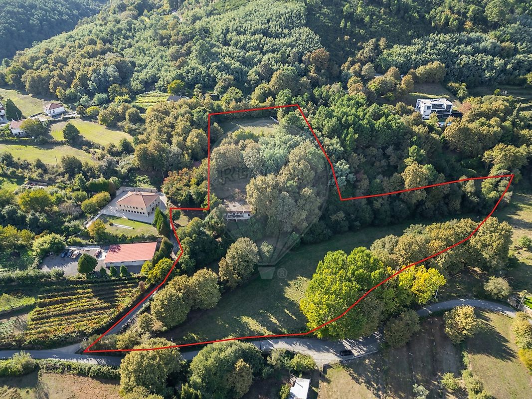 Quinta  Para Venda em Vila Real